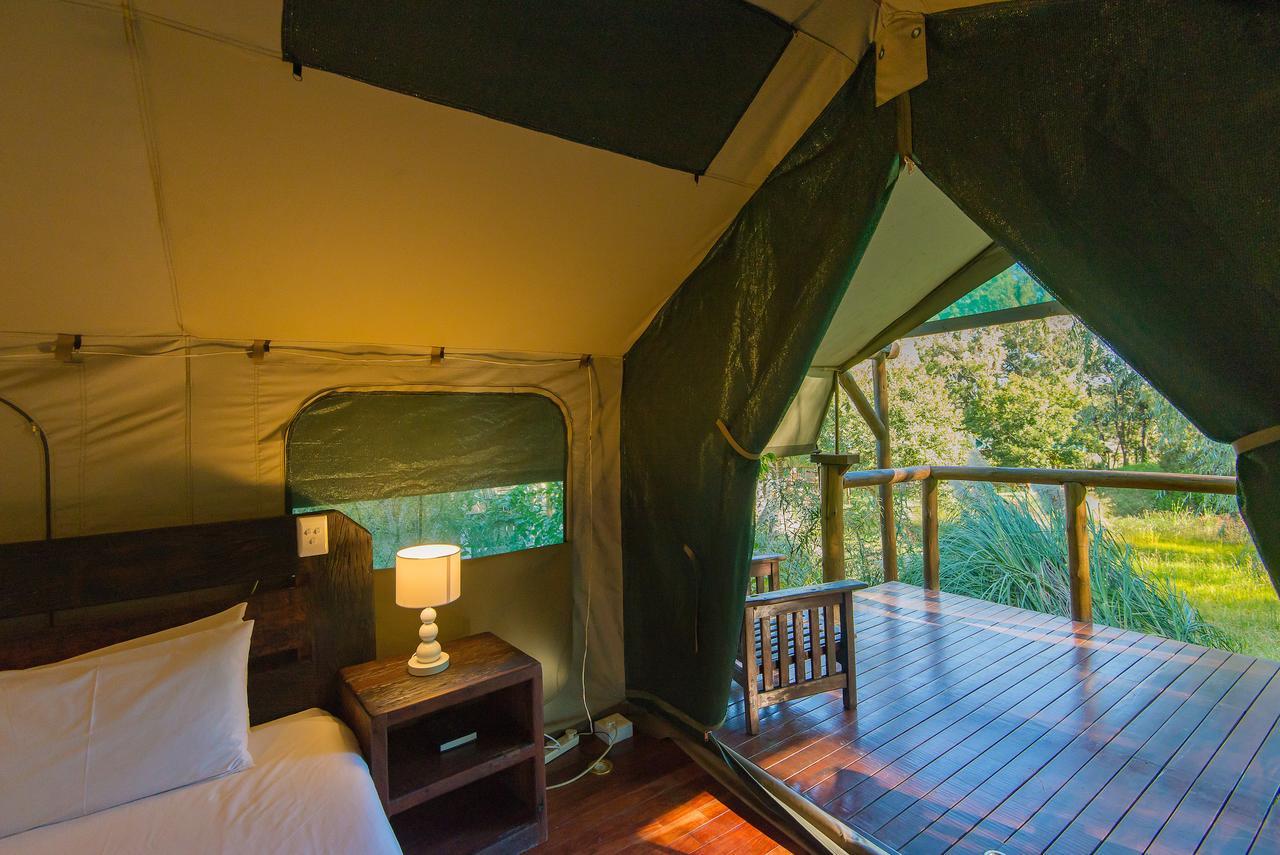 Amadwala Lodge Roodepoort Pokoj fotografie