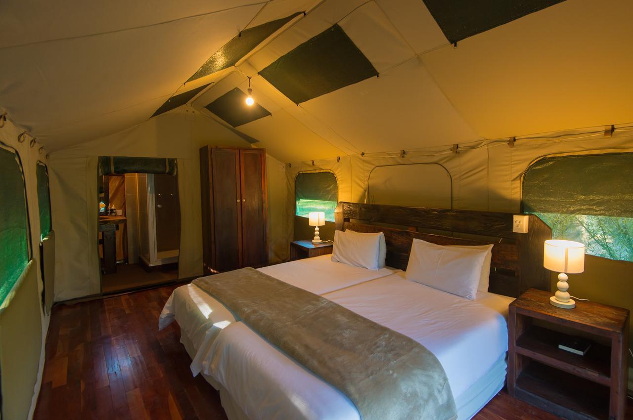 Amadwala Lodge Roodepoort Pokoj fotografie